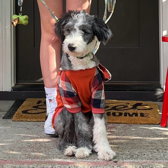 fitwarm pets Other - Fitwarm EUC orange & plaid dog hoodie